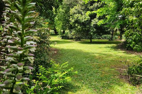 Photo of property in 91 Te Ahu Road, Pukekawa, Tuakau, 2696