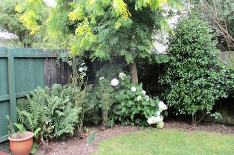 Photo of property in 51 Grange Street, Hillsborough, Christchurch, 8022