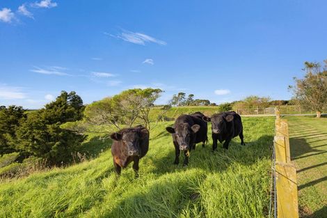 Photo of property in 104b Awanuiarangi Road, Pikowai, Whakatane, 3194