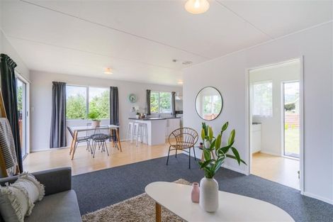 Photo of property in 45 Green Avenue, Levin, 5510