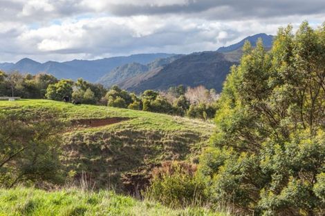 Photo of property in 78 Packtrack Road, Thames, 3577