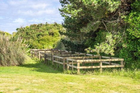 Photo of property in 32 Reay Mackay Grove, Waikawa Beach, Manakau, 5573