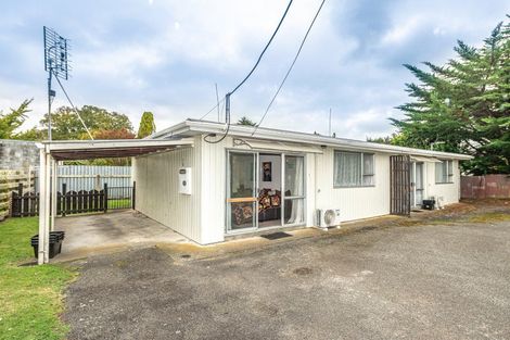Photo of property in 250a Somme Parade, Aramoho, Whanganui, 4500