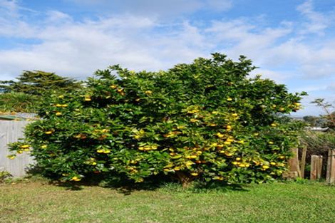 Photo of property in 114 Rosser Street, Huntly, 3700