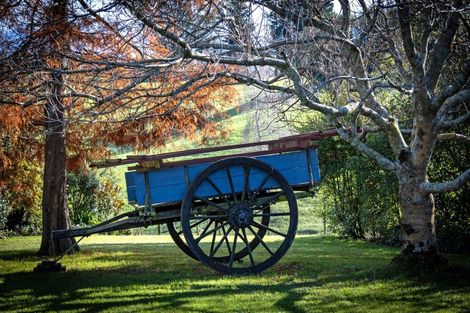 Photo of property in 33 Ribbonwood Road, Geraldine Downs, Geraldine, 7991