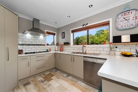 Photo of property in 19 Maple Avenue, Dinsdale, Hamilton, 3204