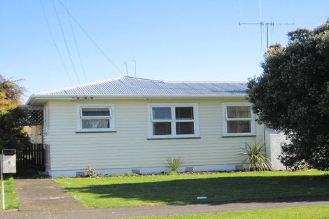 Photo of property in 15 Freyberg Street, Levin, 5510