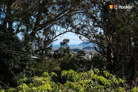 Photo of property in 49 Every Street, Andersons Bay, Dunedin, 9013