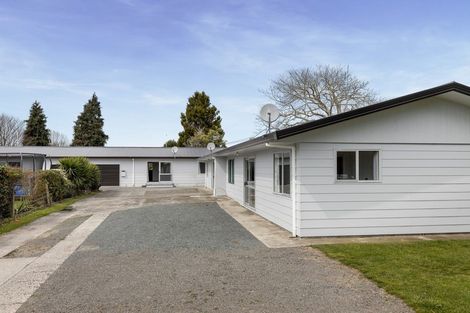 Photo of property in 1/3 Harris Street, Te Puke, 3119