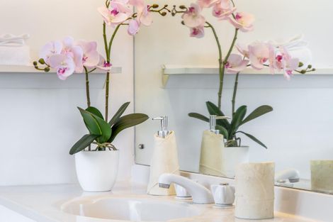 Photo of property in 1/55 Nigel Road, Browns Bay, Auckland, 0630