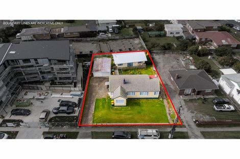 Photo of property in 2 Fruitvale Road, New Lynn, Auckland, 0600