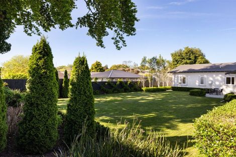 Photo of property in 19a Brookfield Street, Hamilton East, Hamilton, 3216