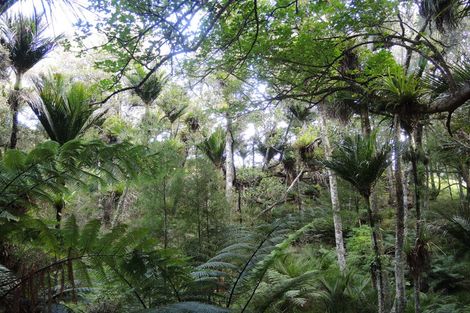 Photo of property in 1563 Duncan Road, Kaitaia, 0482