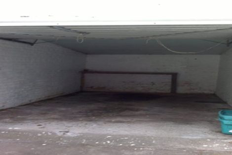 Photo of property in 76 Mcalpine Avenue, Mount Cook, Wellington, 6011