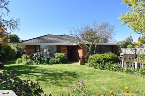 Photo of property in 84 Memorial Avenue, Ilam, Christchurch, 8053