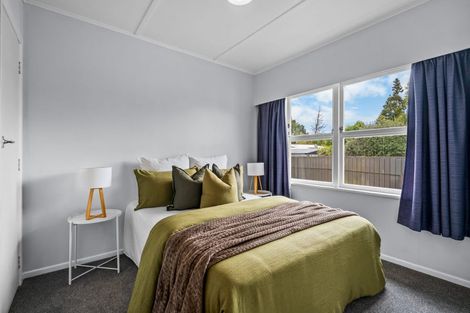 Photo of property in 41 Fitzroy Avenue, Fitzroy, Hamilton, 3206