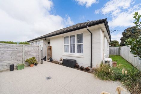 Photo of property in 16 Newbury Street, Awapuni, Palmerston North, 4412