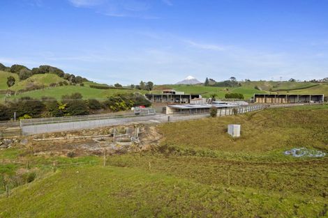 Photo of property in 1234 Richmond Road, Everett Park, Inglewood, 4389