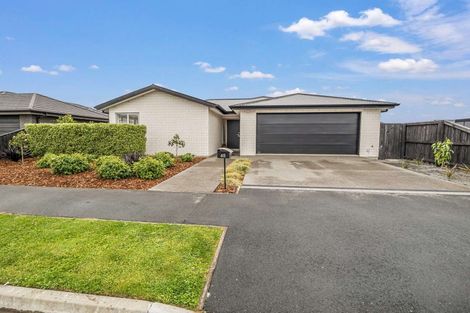 Photo of property in 65 Zabeel Street, Lincoln, 7608