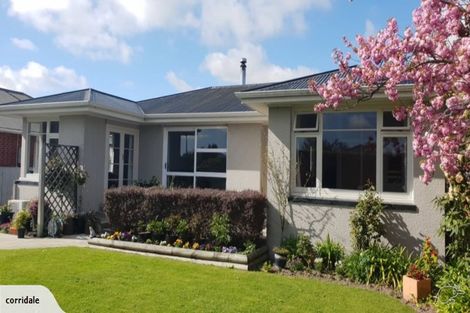 Photo of property in 19 Rata Street, Rangiora, 7400
