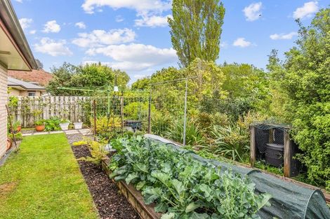 Photo of property in 6 Matuhi Street, Waikanae, 5036