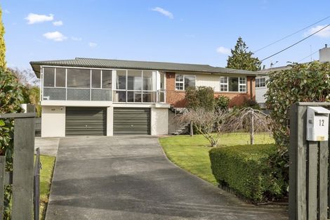 Photo of property in 12 Haggitt Street, Feilding, 4702