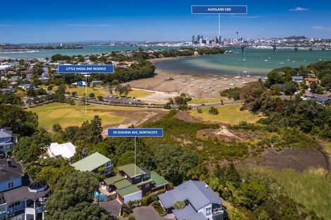 Photo of property in 59 Seaview Avenue, Northcote, Auckland, 0627