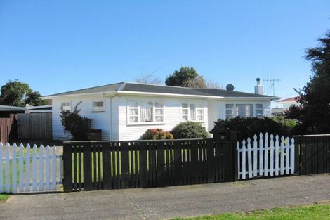 Photo of property in 21 Freyberg Street, Levin, 5510