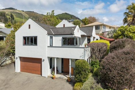 Photo of property in 21 Idesia Grove, Richmond, 7020