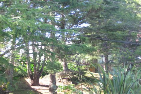 Photo of property in 4 Derwent Crescent, Titirangi, Auckland, 0604