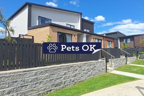 Photo of property in 61 Selo Street, Glen Eden, Auckland, 0602