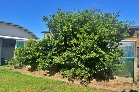 Photo of property in 41 Motutara Drive, Karikari Peninsula, 0483