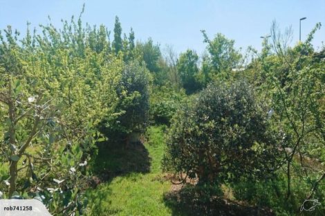 Photo of property in 55 Grey Street, Feilding, 4702