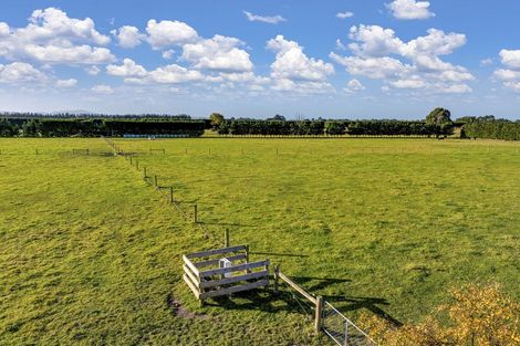 Photo of property in 48 Tupelo Place, Swannanoa, Rangiora, 7476