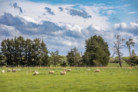 Photo of property in 162 Taylor Road, Ongaonga, 4278