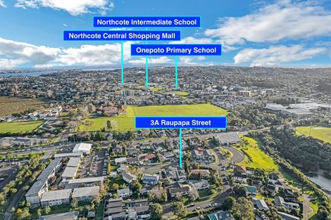 Photo of property in 3a Raupapa Street, Northcote, Auckland, 0627