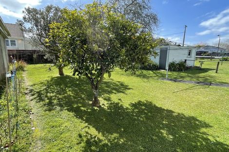 Photo of property in 133 Anderson Street, Morrinsville, 3300