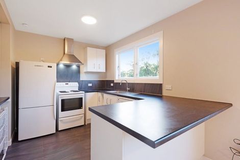 Photo of property in 38 Chaytor Street, Northland, Wellington, 6012