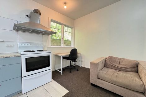 Photo of property in 156a Oriental Parade, Oriental Bay, Wellington, 6011