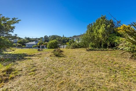 Photo of property in 78 Fraser Avenue, Johnsonville, Wellington, 6037