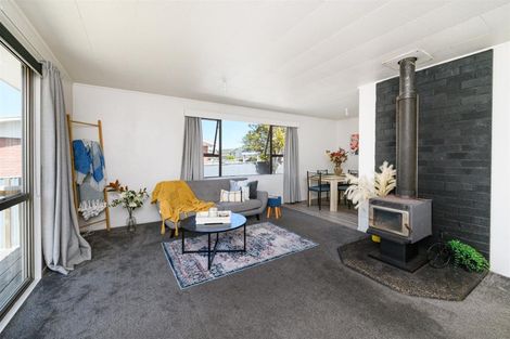 Photo of property in 24 Fergusson Street, Marton, 4710