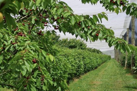 Photo of property in 1520 Tram Road, Swannanoa, Rangiora, 7475