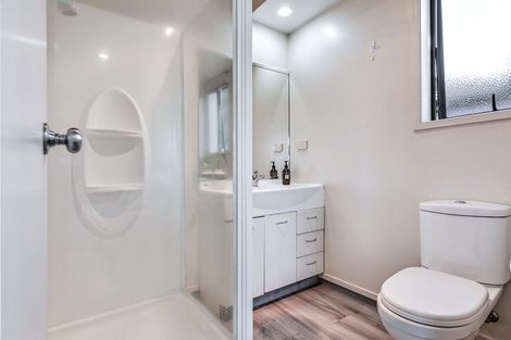 Photo of property in 19 Nobleman Place, Hamilton East, Hamilton, 3216