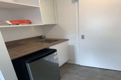 Photo of property in 11u4 Edgecumbe Street, Whitiora, Hamilton, 3200