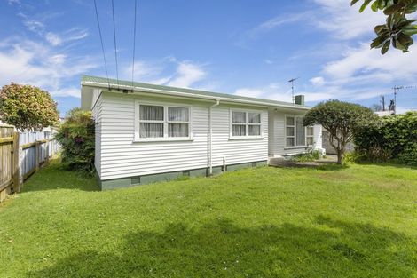 Photo of property in 55 Read Street, Levin, 5510