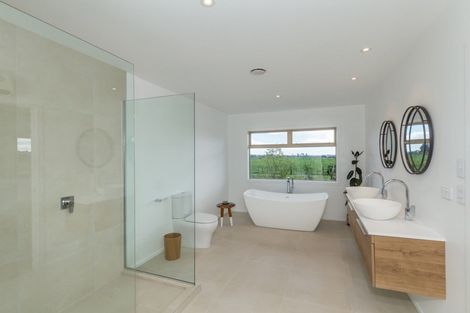 Photo of property in 435 Tararua Road, Levin, 5571