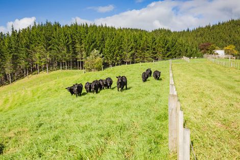 Photo of property in 923 Puketona Road, Haruru, Kerikeri, 0293