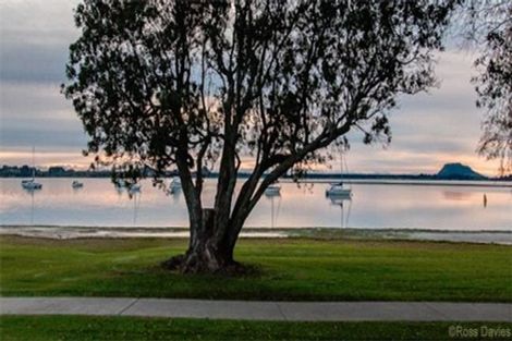 Photo of property in 38 Triplefin Avenue, Omokoroa, 3114