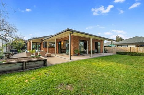 Photo of property in 137 Grey Street, Hamilton East, Hamilton, 3216