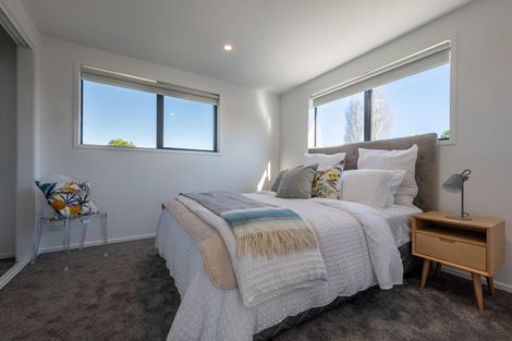Photo of property in 19 Winchester Street, Merivale, Christchurch, 8014